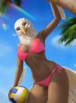 absurd_res accipitrid accipitriform anthro avian bald_eagle ball bikini bird blue_eyes breasts brown_body brown_feathers clothing day eagle elvofirida eyeshadow feathers female hi_res makeup mia_(eag1e) net outside palm_tree plant sea_eagle sky solo swimwear tail tail_feathers tree volleyball_(ball) volleyball_net