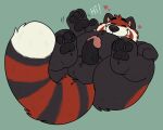  &lt;3 2022 ailurid anthro balls belly black_body campfire_donut erection eyes_closed genitals hi_res humanoid_genitalia humanoid_penis lying male mammal overweight overweight_male penis red_body red_panda simple_background solo 