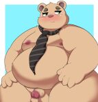 2024 anthro bear belly big_belly blush brown_body censored hi_res inigo_(kusosensei) kemono kusosensei male mammal moobs necktie nipples overweight overweight_male simple_background solo