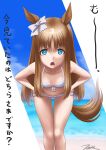  1girl animal_ears beach bikini blue_eyes blue_sky bow breasts brown_hair cloud commentary_request day ear_bow feet_out_of_frame frilled_bikini frills grass_wonder_(umamusume) hair_bow highres horizon horse_ears horse_girl horse_tail leaning_forward long_hair looking_at_viewer multicolored_hair ocean outdoors side-tie_bikini sky small_breasts solo swimsuit t2r tail translation_request umamusume white_bikini white_bow 