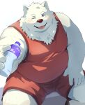  2024 absurd_res anthro belly big_belly bottomwear canid canine canis clothing domestic_dog fur hi_res humanoid_hands kemono male mammal noctnoc one_eye_closed overweight overweight_male shirt shorts sitting solo topwear white_body white_fur wink 