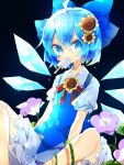  1girl black_background bloomers blue_bow blue_dress blue_eyes blue_hair bow bowtie cirno collared_shirt commentary dress eating feet_out_of_frame flower hair_bow hair_flower hair_ornament hidden_star_in_four_seasons highres ice ice_wings looking_at_viewer medium_hair nikorashi-ka pink_flower plant popsicle_in_mouth puffy_short_sleeves puffy_sleeves red_bow red_bowtie shirt short_dress short_sleeves solo sunflower_hair_ornament touhou underwear vines white_shirt wings 