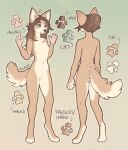 2024 anthro barefoot brown_hair canid canine canis cotton_(yshanii) countershade_torso countershading digital_media_(artwork) dingo english_text featureless_crotch feet female fur gradient_background green_background hair hi_res mammal model_sheet pawpads pink_pawpads simple_background solo standing tan_body tan_fur text yshanii