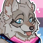  1:1 2024 ambiguous_gender anthro biped blep blue_eyes canid canine canis fangs_bared fur grey_body grey_fur icon lgbt_pride looking_at_viewer lovelock low_res mammal omnisexual_pride_colors pride_color_background pride_color_neckerchief pride_colors simple_background solo tongue tongue_out wolf 