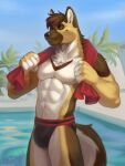  anthro brown_body brown_fur brown_hair canid canine canis clothed clothing domestic_dog fur german_shepherd hair herding_dog hi_res jockstrap jockstrap_only mahn_gough male mammal pastoral_dog pool rosemary02 solo tail topless towel towel_around_neck underwear underwear_only white_body white_fur yellow_body yellow_fur 