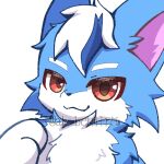  1:1 2024 ab_beniiro anthro biped blue_body blue_fur canid canine countershade_fur countershading fox fur hi_res icon kemono looking_at_viewer male mammal red_eyes solo white_body white_countershading white_fur 