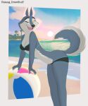  anthro ball beach beach_ball breasts canid canine canis clevage clothed clothing digital_media_(artwork) female fur hi_res illumination_entertainment inflatable looking_at_viewer mammal one_eye_closed open_mouth outside partially_clothed porsha_crystal risangdrawstuff sand seaside sing_(movie) sky smile solo swimwear topwear underwear underwear_down water wolf yellow_eyes 