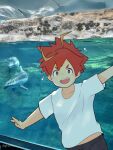  1boy absurdres aquarium black_shorts blush commentary_request highres izumi_(tamacolle) male_focus multicolored_hair open_mouth outstretched_arms phmrn photo_(medium) porpoise red_eyes red_hair shirt shorts sparkle spread_arms streaked_hair tamacolle twitter_username white_shirt 