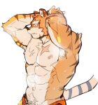  1boy abs animal_ears arms_behind_head blush cross_scar fang fang_out furry furry_male grantly_bell highres knights_college male_focus muscular muscular_male nipples pectorals ppyong profile scar scar_on_chest tail tiger_boy tiger_ears tiger_stripes tiger_tail topless_male white_background 