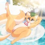  absurd_res american_flag_bikini anonymous_artist anthro canid canine clothing crossed_arms eyewear female fox glasses hat headgear headwear hi_res lt._fox_vixen lying mammal pool_float pubes sek_studios solo squirrel_and_hedgehog 