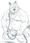  2022 anthro belly big_belly bodily_fluids bulge canid canine canis clothing collar domestic_dog hi_res humanoid_hands huynhduyad14 kemono leash male mammal moobs nipples overweight overweight_male simple_background solo sweat underwear 