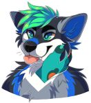  ambiguous_gender anthro black_body black_ears black_fur blep blue_body blue_claws blue_fur blue_inner_ear canid cheek_tuft chest_tuft claws duo facial_tuft finger_claws front_view fur glistening glistening_eyes green_eyes green_hair grey_body grey_ears grey_fur hair hand_on_cheek male mammal orange_body pink_tongue princelykaden shoulder_tuft simple_background smile solo_focus tan_sclera tongue tongue_out tuft white_background white_body white_fur 