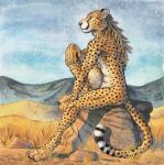  0laffson anthro cheetah digitigrade dreadlocks felid feline hi_res male mammal nude rock sitting solo traditional_media_(artwork) 
