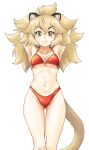  animal_ears arms_behind_head bikini blonde_hair blush breasts fur_collar hair_between_eyes highres kemono_friends large_breasts lion_(kemono_friends) lion_ears lion_tail long_hair naka_(nicovideo14185763) navel red_bikini smile swimsuit tail yellow_eyes 