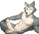 2024 abs anthro athletic athletic_anthro athletic_male balls beastars canid canine canis erection fur genitals grey_body grey_fur hi_res humanoid_genitalia humanoid_penis jrjresq legoshi_(beastars) looking_at_viewer male mammal multicolored_body multicolored_fur nude penis scar solo two_tone_body two_tone_fur wolf