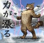  2others animal animal_focus bell cat claws collar electricity floating_rock matataku multiple_others neck_bell original powering_up red_collar solo_focus standing surprised_cat_(matataku) translation_request 