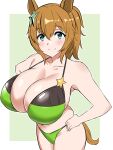  1girl alternate_costume animal_ears bare_shoulders bikini black_bikini blue_eyes border breasts brown_hair cleavage green_background green_bikini hair_between_eyes hair_ornament hand_on_own_hip highres horse_ears horse_girl horse_tail huge_breasts kagemusha large_breasts looking_at_viewer ponytail simple_background smile solo star_(symbol) star_hair_ornament swimsuit taiki_shuttle_(umamusume) tail two-tone_bikini umamusume white_border 