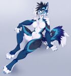  2022 4_toes 5_fingers anthro black_body black_fur black_hair blue_body blue_eyes blue_fur blue_tongue breasts canid canine canis chesta clothed clothing digital_media_(artwork) domestic_dog featureless_breasts featureless_crotch feet female fingers fur hair hi_res looking_at_viewer mammal nude open_mouth simple_background smile solo teeth toes tongue white_body white_fur 