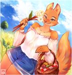  anthro apple basket breasts canid canine canis cleavage clevage clothed clothing container detailed_background diane_foxington digital_media_(artwork) dreamworks eyebrow_piercing facial_piercing female flower fox fruit_basket fur hi_res holding_basket holding_container holding_flower holding_object looking_at_viewer mammal myoniis orange_body orange_fur outside piercing plant shirt smile solo strapless_clothing sunflower the_bad_guys topwear 