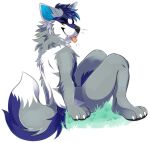  anthro back_tuft black_eyebrows black_nose black_pawpads blep blue_body blue_fur blue_hair blue_inner_ear blue_inner_ear_fluff blue_tail brown_eyes canid cheek_tuft claws elbow_tuft eyebrows facial_tuft fangs finger_claws fur glistening glistening_eyes grass grey_body grey_ears grey_fur grey_tail hair inner_ear_fluff looking_at_viewer male mammal neck_tuft pawpads pink_tongue plant princelykaden shoulder_tuft side_view simple_background sitting solo tongue tongue_out tuft white_background white_claws white_tail 