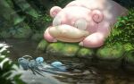  barboach blurry dappled_sunlight day depth_of_field fangs fangs_out grass highres light_rays lying moss no_humans on_stomach outdoors plant pokemon pokemon_(creature) rend rock scenery slowpoke stream sunlight swimming water 