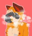  absurd_res anthro bodily_fluids can&#039;t_see_the_haters canid canine cock_on_face cum cum_drip dick_on_head dripping duo erect_nipples flushed fox genital_fluids hi_res male mammal meme nipples precum protaytoe_(protaytoe) steam sweat vjsins ych_(character) 