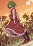  1girl absurdres ascot bangs brown_flower brown_pantyhose closed_mouth cloud cloudy_sky collared_shirt commentary_request flower frilled_skirt frills from_side full_body gradient gradient_sky grass green_hair grey_shirt ground hair_between_eyes highres kame_(kamepan44231) kazami_yuuka long_sleeves looking_at_viewer open_clothes open_vest orange_sky pantyhose plaid plaid_skirt plaid_vest puffy_long_sleeves puffy_sleeves red_eyes red_footwear red_skirt red_vest shadow shirt shoes short_hair skirt sky solo standing sunset touhou vest white_shirt yellow_ascot yellow_sky 