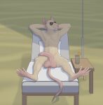  absurd_res balls foreskin genitals hi_res joerat male mammal murid murine penis rat rodent solo sunbathing 