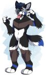  anthro black_body black_ears black_eyebrows black_fur black_nose black_pawpads black_tail blue_body blue_eyes blue_fur blue_hair blue_tail brown_body brown_fur canid eyebrows fangs featureless_crotch front_view fur glistening glistening_hair hair inner_ear_fluff leg_tuft male mammal navel open_mouth pawpads pink_tongue princelykaden solo standing tan_sclera tongue tongue_out tuft white_body white_fingers white_fur white_inner_ear white_inner_ear_fluff white_tail 