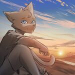  anthro blue_eyes brown_body brown_fur cloud fur hi_res male sitting sky solo stampmats sunset twilight 