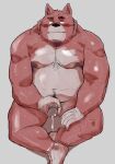  2022 anthro belly big_belly blush bodily_fluids canid canine canis cum domestic_dog erection genital_fluids genitals hi_res humanoid_genitalia humanoid_hands humanoid_penis kemono male mammal masturbation moobs navel nipples overweight overweight_male penis sitting solo ujishiyo 