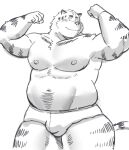  2022 anthro belly blush bulge clothing felid humanoid_hands kemono male mammal moobs musclegut nipples pantherine simple_background solo sv_grart tiger underwear 