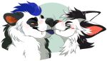  anthro anthro_on_anthro black_body black_ears black_eyebrows black_fur black_hair black_nose blue_hair cheek_tuft duo ears_back eyebrows eyes_closed facial_tuft fangs fur fur_markings glistening glistening_eyes hair half-closed_eyes inner_ear_fluff licking licking_another licking_partner male male/male mammal markings multicolored_hair narrowed_eyes neck_tuft pivoted_ears princelykaden red_body red_eyes red_fur red_inner_ear red_markings side_view tongue tongue_out tuft two_tone_hair ursid white_body white_ears white_fur white_hair white_inner_ear_fluff 