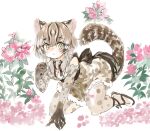  1girl :&lt; all_fours animal_ears animal_print back_bow bare_shoulders bow bowtie cat_ears cat_girl cat_print cat_tail elbow_gloves flower fur_trim gloves green_eyes grey_bow grey_bowtie grey_hair high-waist_skirt japanese_clothes kemono_friends kimono konabetate multicolored_hair print_gloves print_kimono print_legwear print_skirt sandals short_hair skirt sleeveless solo tail thighhighs tsushima_leopard_cat_(kemono_friends) zettai_ryouiki 