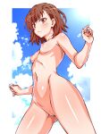  1girl absurdres asymmetrical_bangs blue_sky breasts brown_eyes brown_hair closed_mouth coin commentary_request completely_nude from_below frown hair_behind_ear highres holding holding_coin looking_at_viewer misaka_mikoto navel nike_(0306) nipples nude outdoors paid_reward_available pussy shiny_skin short_hair sky small_breasts solo toaru_kagaku_no_railgun toaru_majutsu_no_index uncensored 