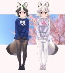  2girls adapted_costume beleven black_shoes blue_skirt blue_sweater blush bow bowtie brown_eyes brown_fur brown_gloves brown_hair brown_pantyhose cherry_blossoms footwear_bow full_body fur_collar fur_trim gloves hair_between_eyes highres kemono_friends leaf leaf_on_head loafers long_sleeves looking_at_viewer multicolored_hair multiple_girls pantyhose petal_on_head pink_bow pink_bowtie pink_shoes pleated_skirt sailor_collar school_uniform serafuku shoes sidelocks skirt smile sweater tanuki_(kemono_friends) two-tone_hair white_bow white_bowtie white_fur white_gloves white_hair white_pantyhose white_skirt white_sweater 