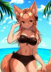  1girl animal_ear_fluff animal_ears arm_up beach bikini black_bikini breasts brown_eyes brown_hair cleavage cloud forehead fox_ears fox_tail furry furry_female highres long_hair looking_at_viewer methynecros navel ocean original outdoors sky smile solo swimsuit tail thighs 