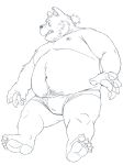  2022 anthro belly big_belly canid canine clothing feet hi_res humanoid_hands huynhduyad14 kemono male mammal moobs navel nipples overweight overweight_male simple_background solo underwear 