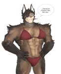  abs anthro bikini canid caninu clothed clothing crossdressing cyberconnect2 embarrassed english_text fuga:_melodies_of_steel hi_res little_tail_bronx male mammal muscular muscular_anthro pecs shvein_hax solo swimwear text video_games wolfblazex 