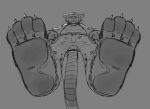  bottomwear claws clothing feet foot_focus fur greyscale joeleo55515 looking_at_viewer looking_down low-angle_view macro male mammal marsupial monochrome pants pawpads phalangeriform shirt solo topwear whiskers worm&#039;s-eye_view 