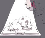 after_vore anthro anthro_pred award bear bone bone_disposal bovid burping_up_bones burping_up_object burping_up_skull caprine death digestion fatal_vore feet hi_res kinkykong mammal open_mouth oral_bone_disposal partially_digested same_size_vore sheep skull tarooki_(character) text trophy trophy_feet vore