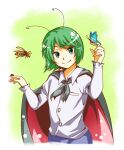  1girl androgynous antennae bangs black_cape blue_shorts bug butterfly butterfly_on_hand cape closed_mouth collared_shirt commentary_request flat_chest green_eyes green_hair ladybug long_sleeves maru_(1025519) red_cape shirt short_hair shorts smile solo touhou two-sided_cape two-sided_fabric upper_body wasp white_shirt wriggle_nightbug 