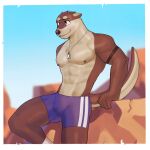  abs anthro bottomwear brown_body bulge clothing dog_tags hi_res jrjresq lutrine male mammal muscular muscular_male mustelid nipples pecs shorts solo 