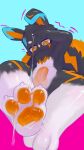 absurd_res anthro big_tail blue_highlights blue_pupils blush bodily_fluids claws countershading cum cum_drip cum_on_feet cum_on_pawpads cum_play cum_string dipstick_ears dripping ear_markings falni feet finger_claws floppy_ears foot_focus frown genital_fluids genitals hi_res highlights_(coloring) humanoid_genitalia humanoid_penis lagomorph leaning leaning_backward leg_markings leporid looking_at_self male mammal markings multicolored_ears nude orange_eyes orange_markings orange_pawpads pawpads penis pupils rabbit raised_arm solo tail toe_claws white_body white_countershading