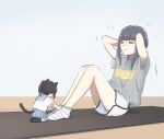  2girls animal_ears arms_behind_head bangs black_hair black_socks blue_hair blue_sailor_collar blue_skirt cat_ears cat_girl cat_tail chibi closed_eyes closed_mouth grey_shirt hibike!_euphonium highres kasaki_nozomi kitauji_high_school_uniform kneeling liz_to_aoi_tori long_hair lyy multiple_girls pleated_skirt ponytail sailor_collar school_uniform serafuku shirt short_sleeves shorts sit-up skirt socks t-shirt tail white_shirt white_shorts white_socks yoroizuka_mizore 