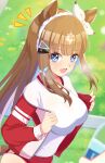  1girl :d almond_eye_(umamusume) animal_ears blue_eyes blue_hair blurry blurry_background breasts brown_hair buruma commentary_request grass hairband highres horse_ears horse_girl horse_tail jacket large_breasts long_hair looking_at_viewer multicolored_hair open_mouth outdoors pink_hair red_buruma shirt smile solo sparkling_eyes tail tracen_training_uniform track_jacket umamusume white_hairband white_shirt yo-ha 