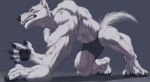 absurd_res allandox anthro beastars canid canine canis clothing fur grey_body grey_fur hi_res legoshi_(beastars) low-angle_view male mammal muscular muscular_male red_eyes simple_background snarling solo wolf 