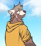  ailurid anthro blue_sky cheek_tuft closed_smile cloud ear_piercing facial_tuft guacy900 hair half-closed_eyes hi_res hood looking_at_viewer male mammal minedoo_(character) mouth_closed narrowed_eyes neck_tuft piercing red_panda rolled_up_sleeves sky smile solo tuft 