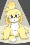  animal_crossing canid canine canis domestic_dog female fur isabelle_(animal_crossing) looking_at_viewer mammal nintendo nude pussy snowmouse solo video_games 