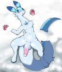 absurd_res anthro blue_body blue_fur blushing_at_viewer chillet cupic fur genitals hi_res long_ears long_neck long_tail male pal_(species) palworld paws penis pocketpair snow solo tail